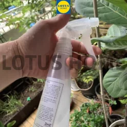 vn 11134207 7r98o ll3ndqrbz0dy4c@resize w450 nl