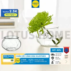 IKEA chậu cây cảnh thủy tinh thiết kế hiện đại IKEA VILJESTARK