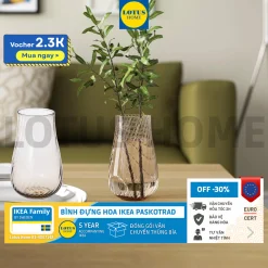 IKEA Bình hoa thủy tinh thiết kế mới IKEA PASKOTRAD